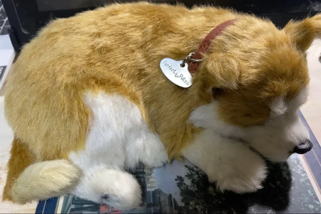 2026年最新】パーフェクトペットの人気アイテム - メルカリ