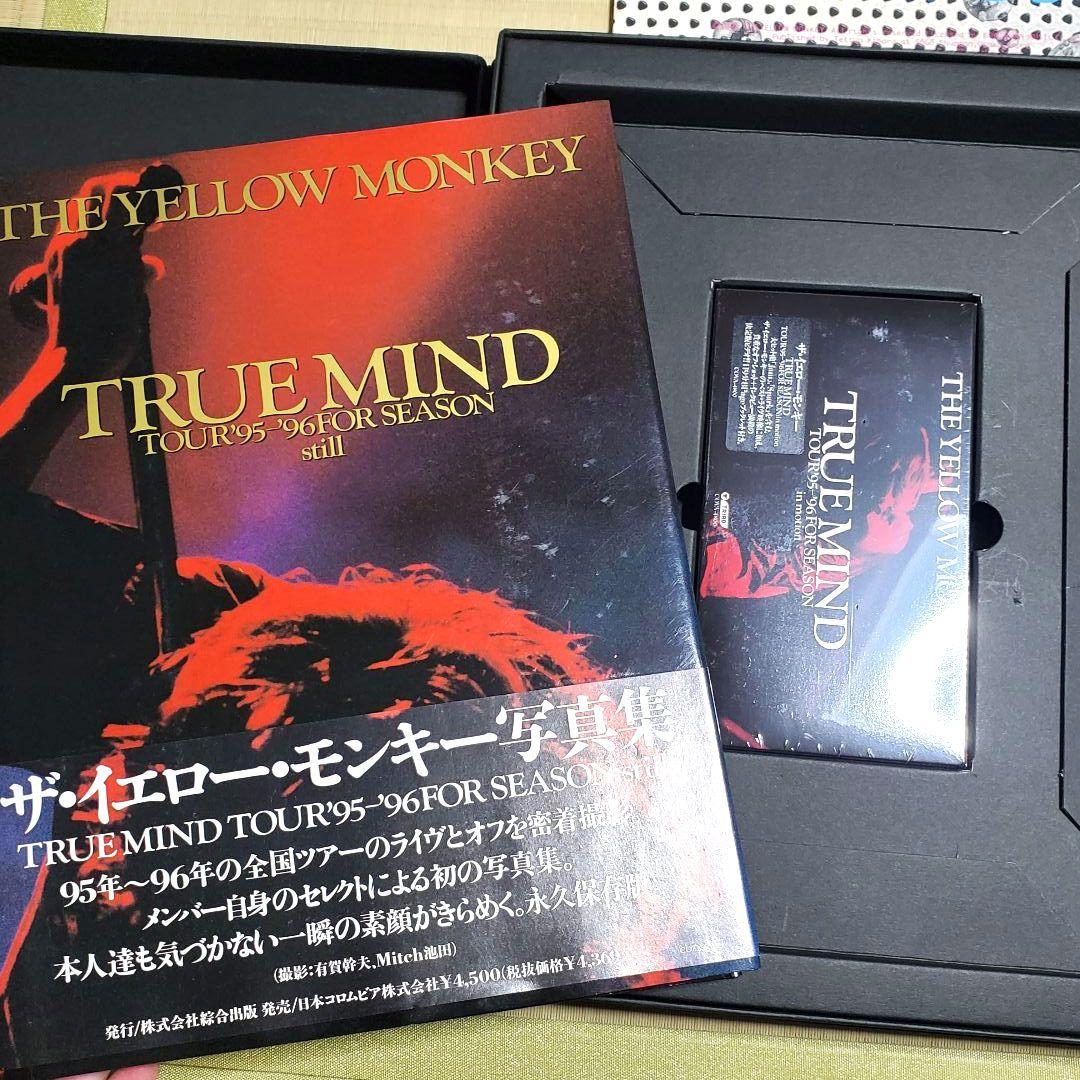 THE YELLOW MONKEY 非売品 レア物 CD ツアーパンフまとめ売り - メルカリ