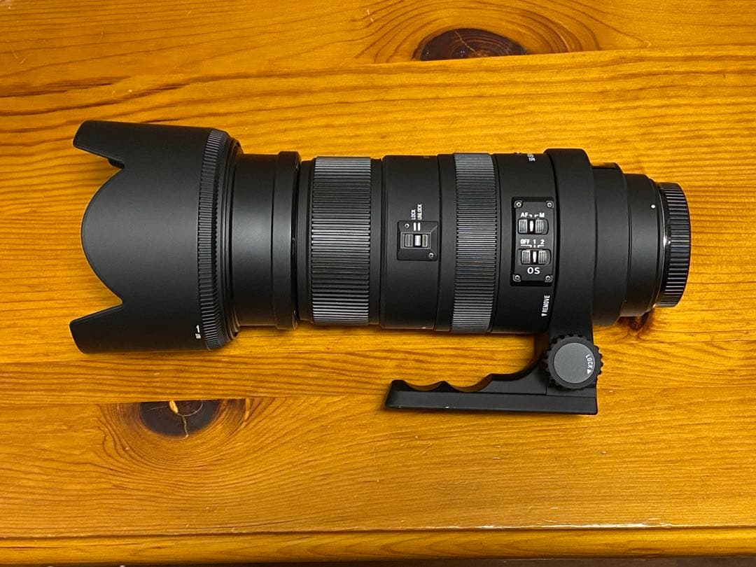 SIGMA APO 50-500mm F4.5-6.3 DG OS HSM キャ