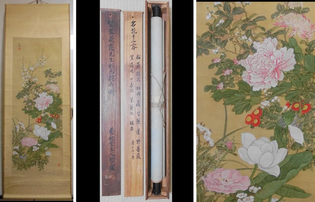 賀来飛霞 彩色花弁圜 希少 墨彩画 日本画 牧野富太郎 小石川植物園 大分県 Untitled-884x600.jpg