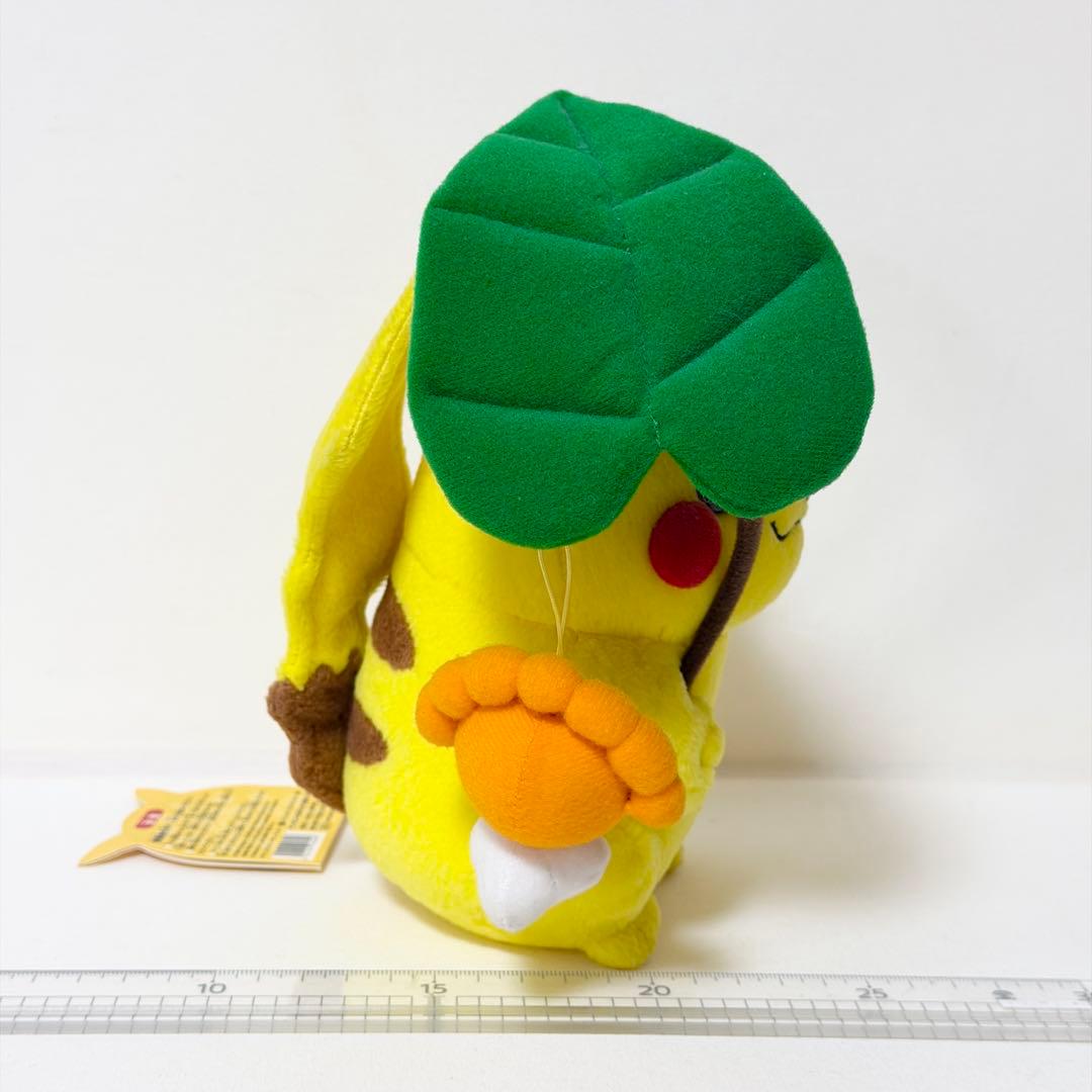 マンスリーピカチュウ 2005年6月ポケモンセンター限定 ポワルン