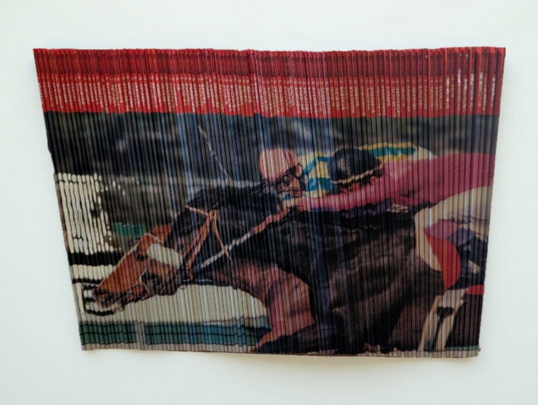 週刊Gallop臨時増刊「100名馬」 週刊100名馬 Vol.86 ステイゴールド (Gallop臨時増刊) | 産業経済新聞