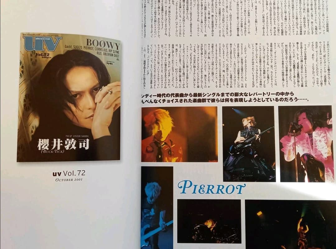 PIERROT：【ULTIMATE FILE 1995-2005】完全限定BOX - メルカリ