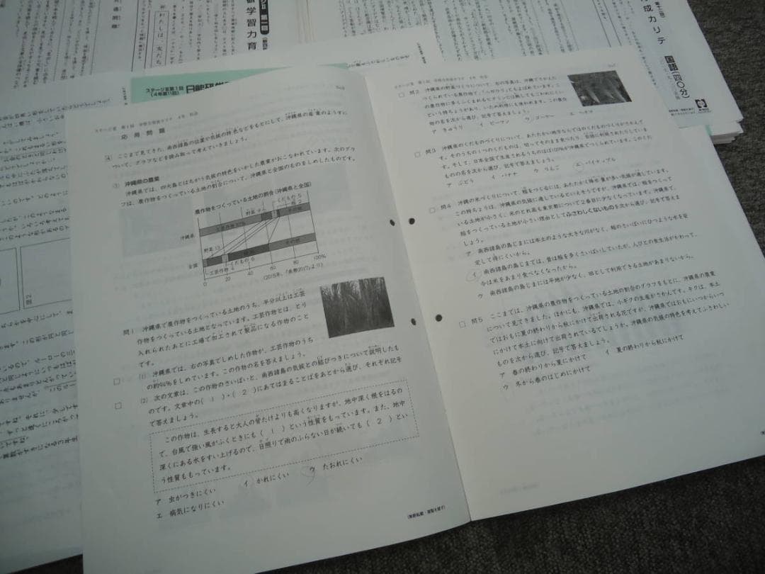 日能研4年 全国公開模試7回/学習力育成19回/春/夏/冬