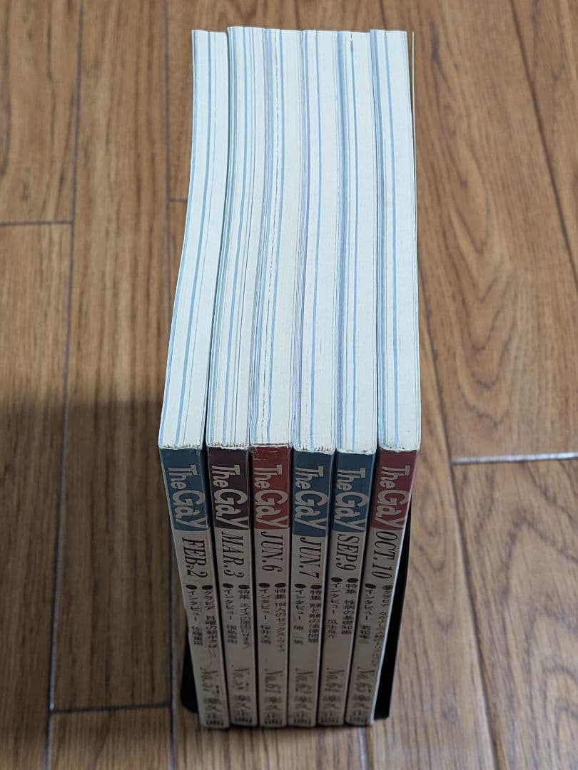 TheGAY1987年　6冊セット