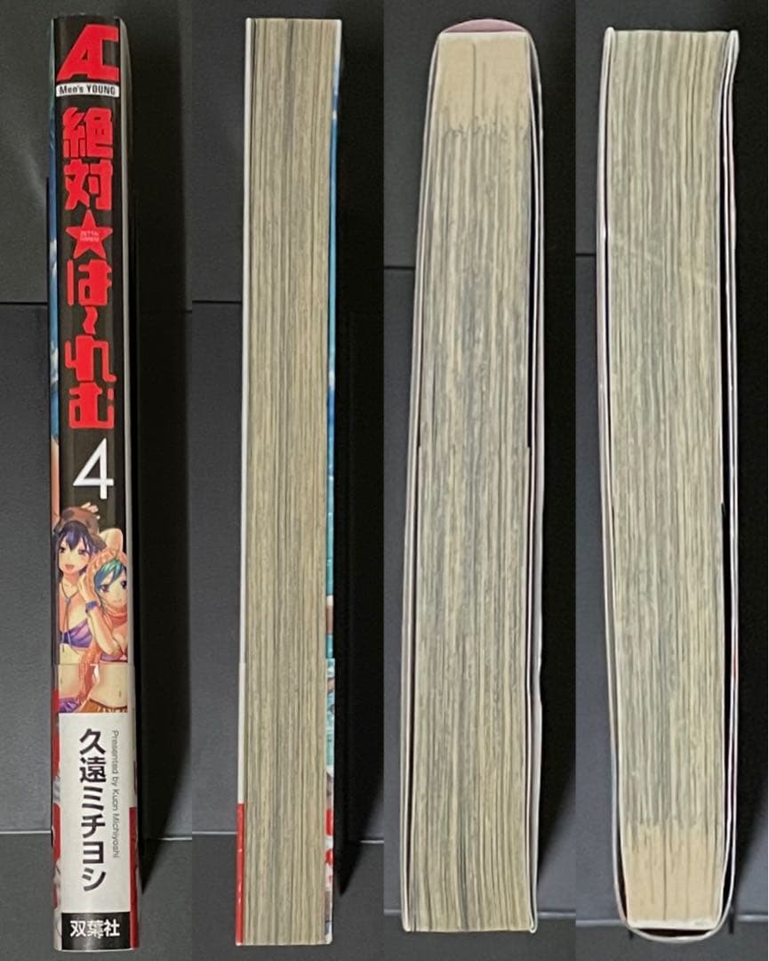 絶対★は〜れむ / 久遠ミチヨシ・イラストサイン入り初版本