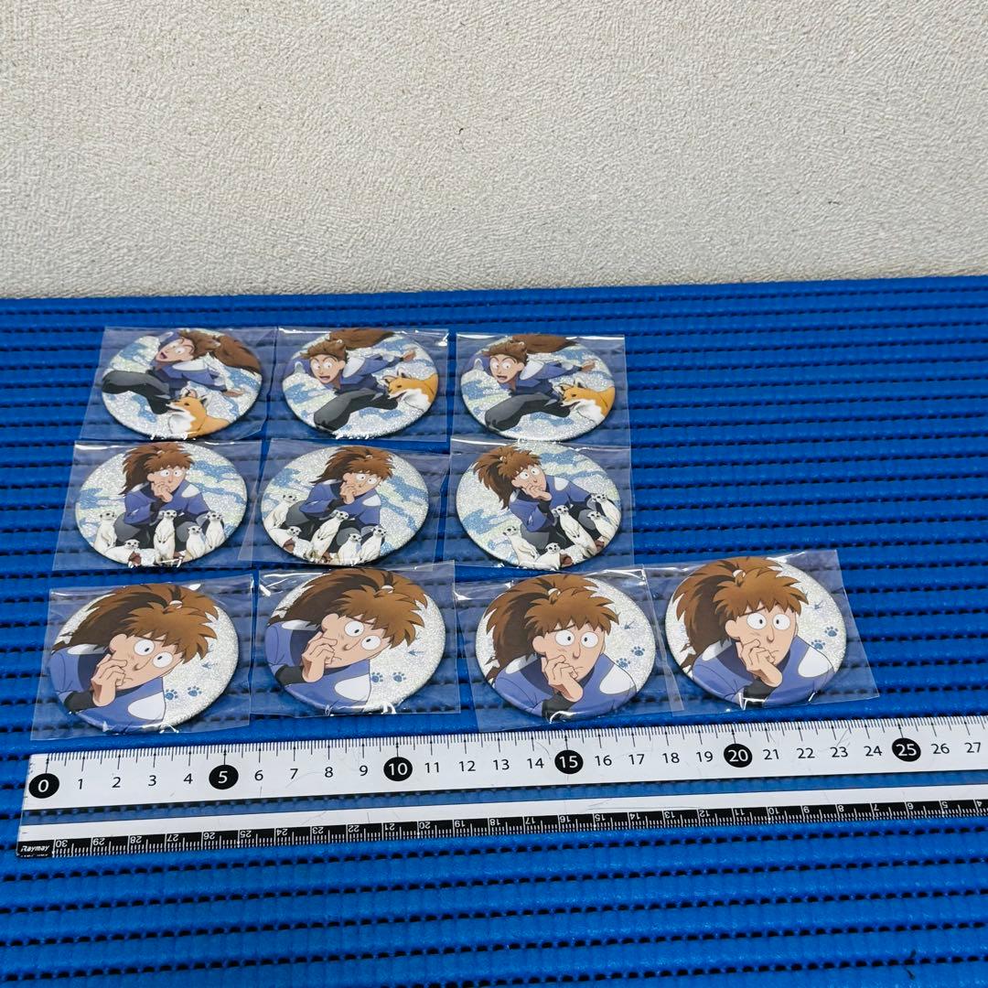 忍たま乱太郎 不破雷蔵 東武動物公園 グリッター缶バッジ セット ゃ