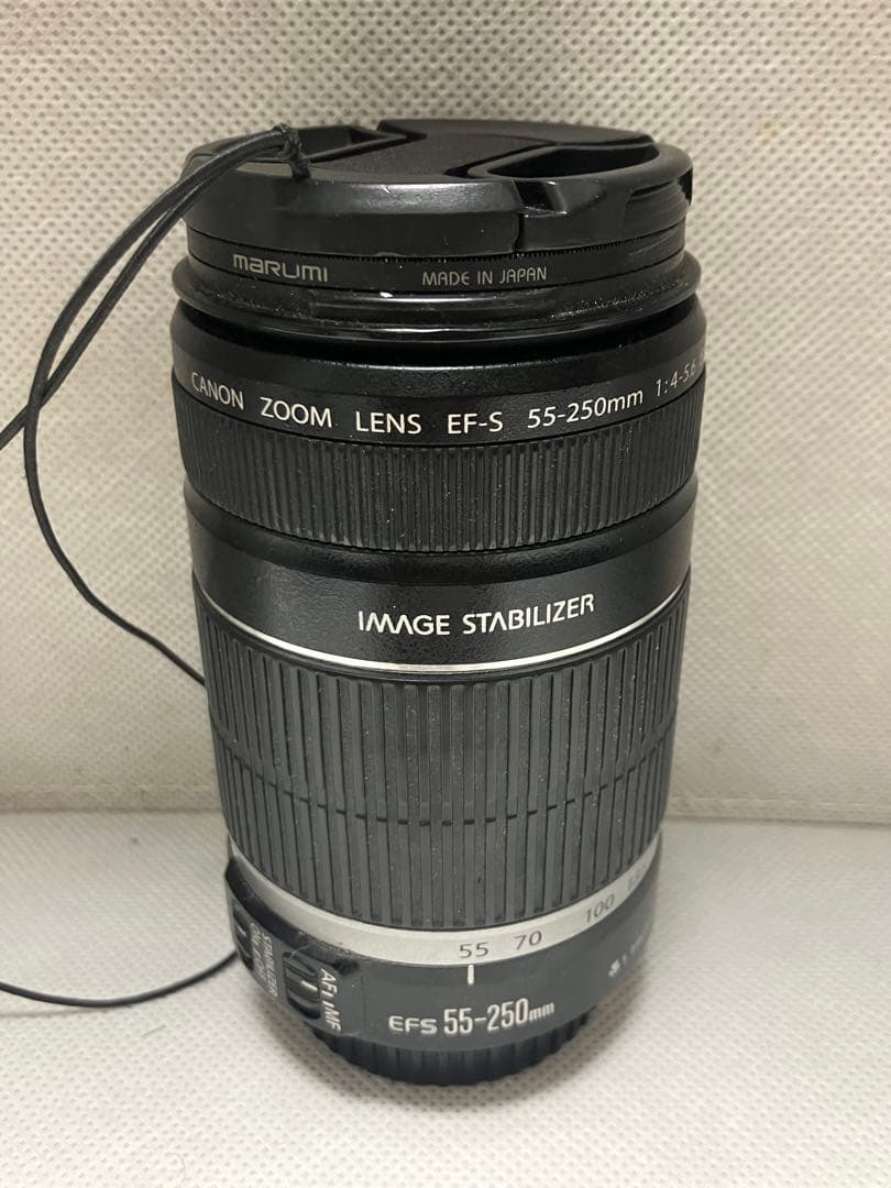 レンズ(ズーム) Canon EF-S55-250mm F4-5.6 IS Canon EF-S55-250mm F4-5.6 IS STMを徹底解説。作例からレビューまで