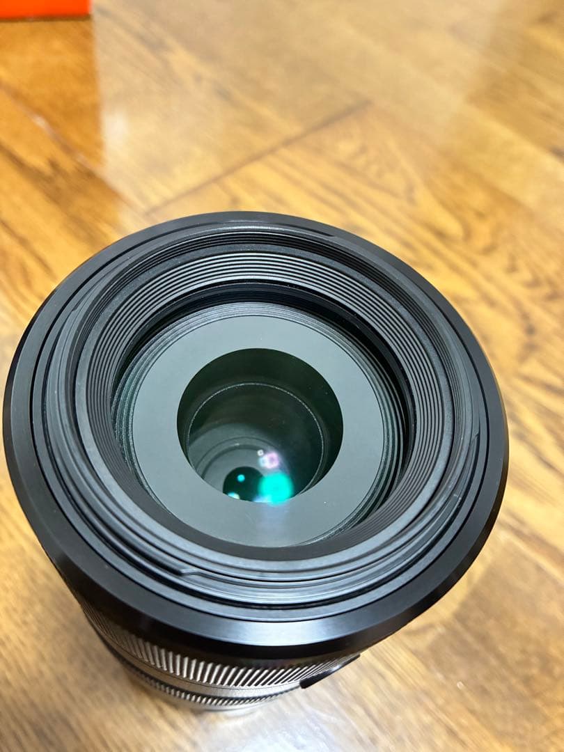 しろくろSONY 70-300mm F4.5-5.6 G SSM Ⅱ