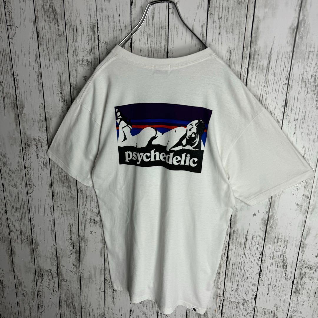 激レアコラボ】 ヒステリックグラマー パタゴニア 入手困難 Tシャツ 即