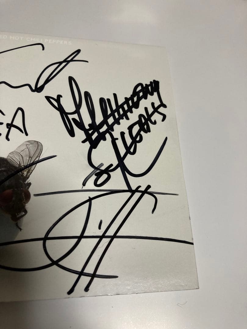 レア レッチリ 直筆 サイン CD red hot chili peppers - メルカリ
