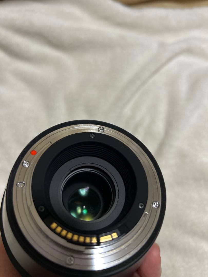 SIGMA 100-400mm f/5-6.3 DG OS HSM EFマウント