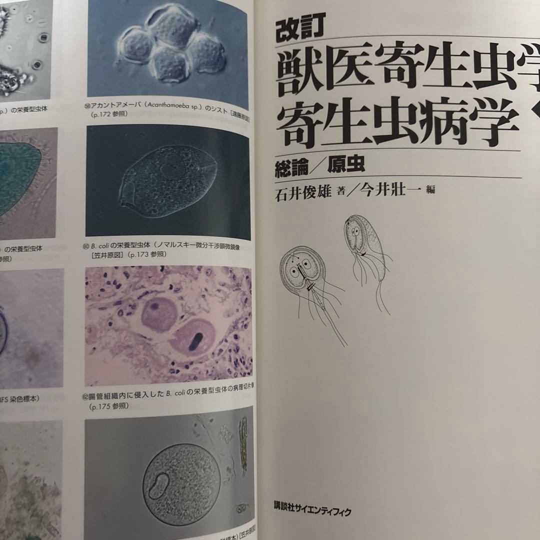 獣医寄生虫学・寄生虫病学 1 - メルカリ