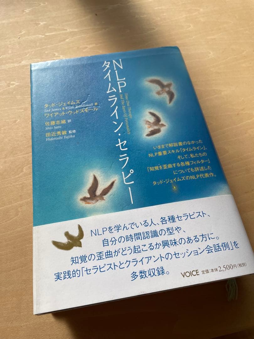 ⭐︎NLPタイムライン・セラピー⭐︎希少⭐︎マーカーありのためお安め タイムラインセラピー™ - NLP-JAPAN ラーニング・センター