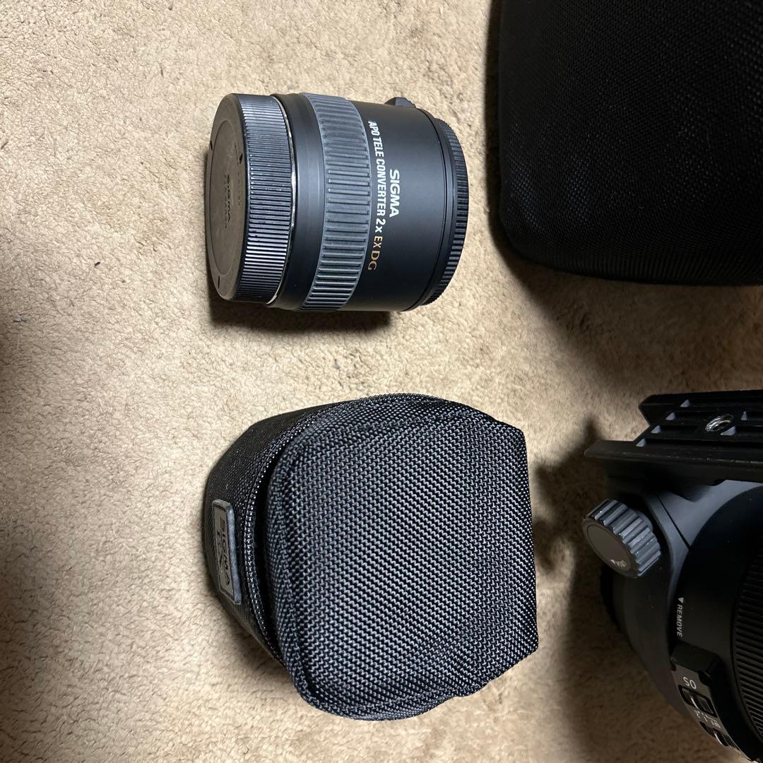 シグマ50-500mm F4.5-6.3 DG OS HSM キヤノン用