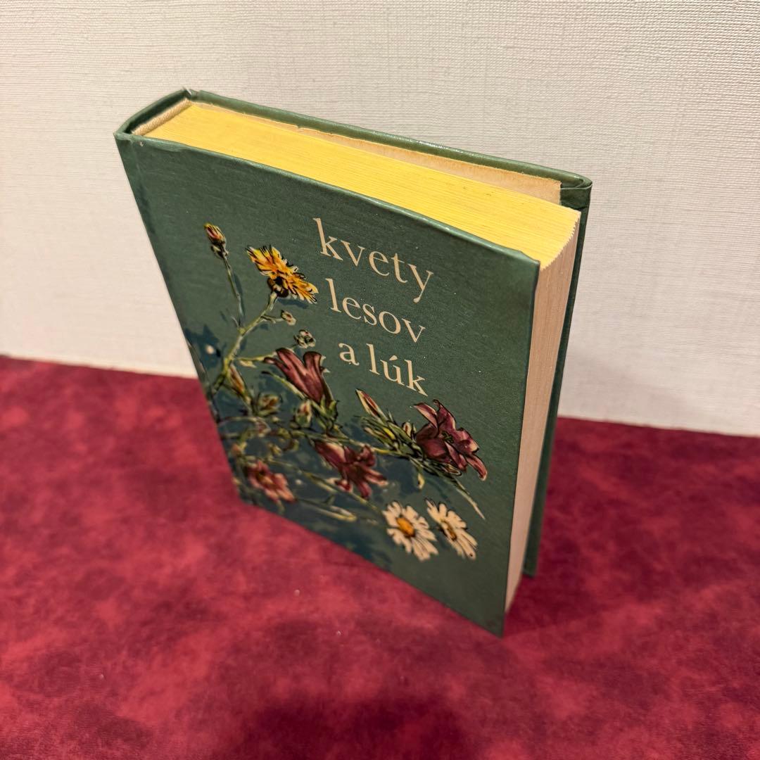 25②1965年チェコ植物図鑑 ジャンクジャーナル ボタンニカル 洋書古書