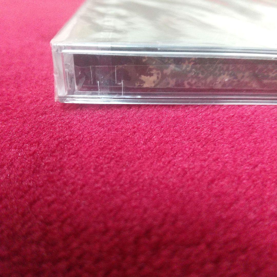 2015年 DEVILOOF ≪新品未開封≫ Ruin