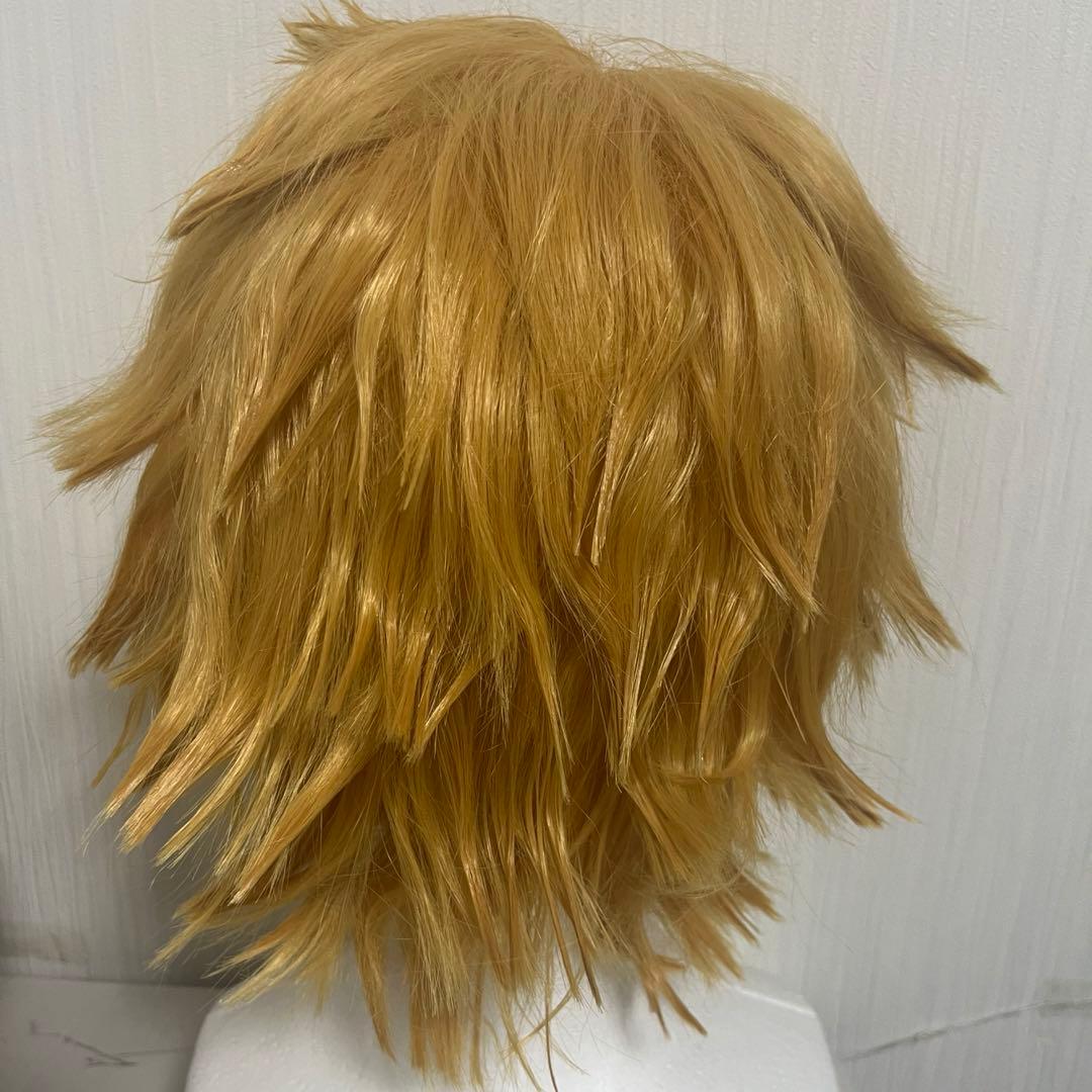 上鳴電気 コスプレ ウィッグ セット済 - メルカリ