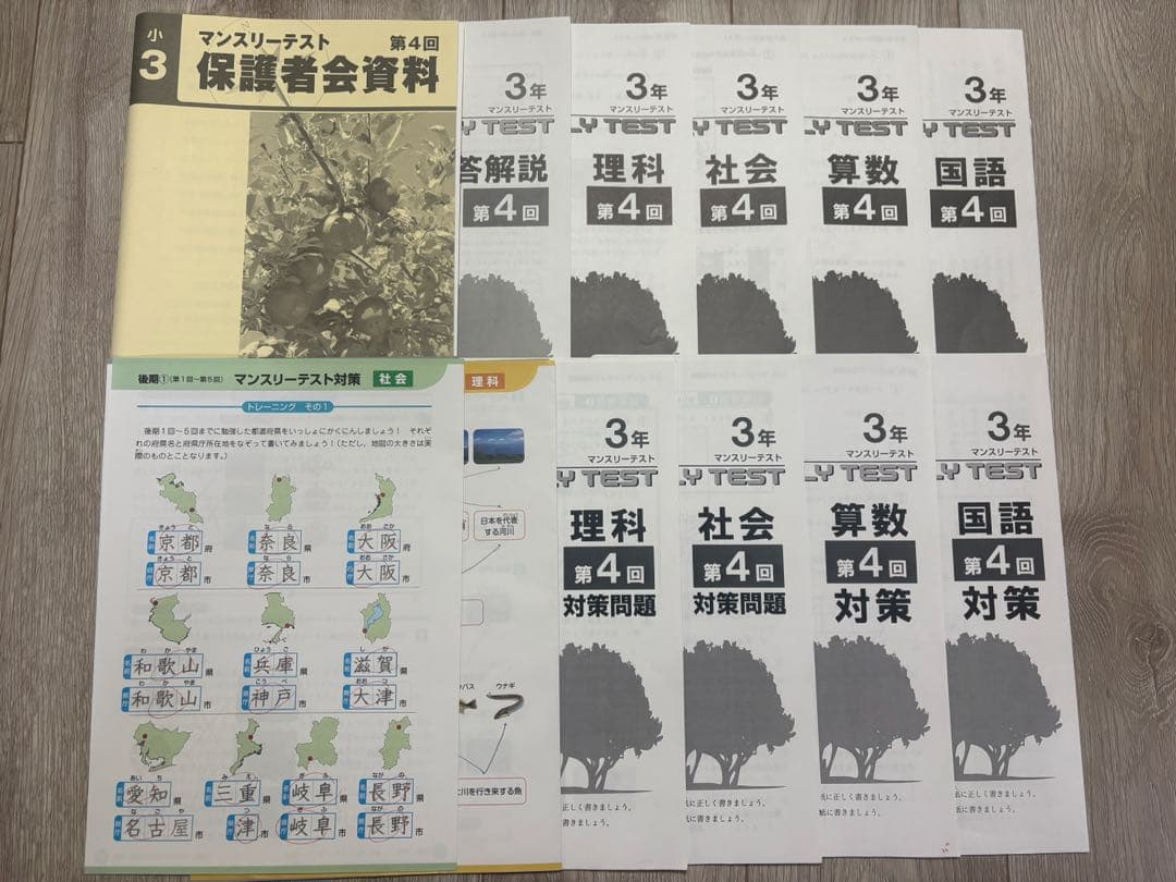 小3 早稲田アカデミー ワセアカ マンスリーテスト 1年分セット 原本