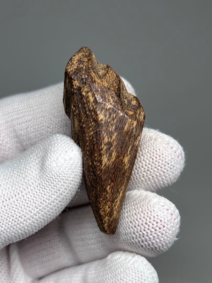 1) 極上伽羅 本物保証 沈香木 香木 合計重さ:10g - メルカリ