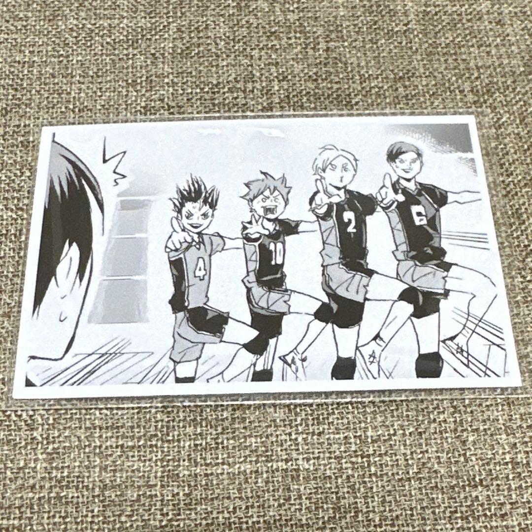 ハイキュー 10th クロニクル 思い出スナップフォトカード ナイッサー