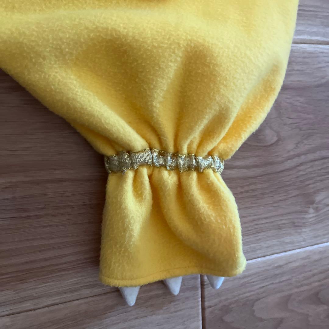 パニパニパイナ 衣装