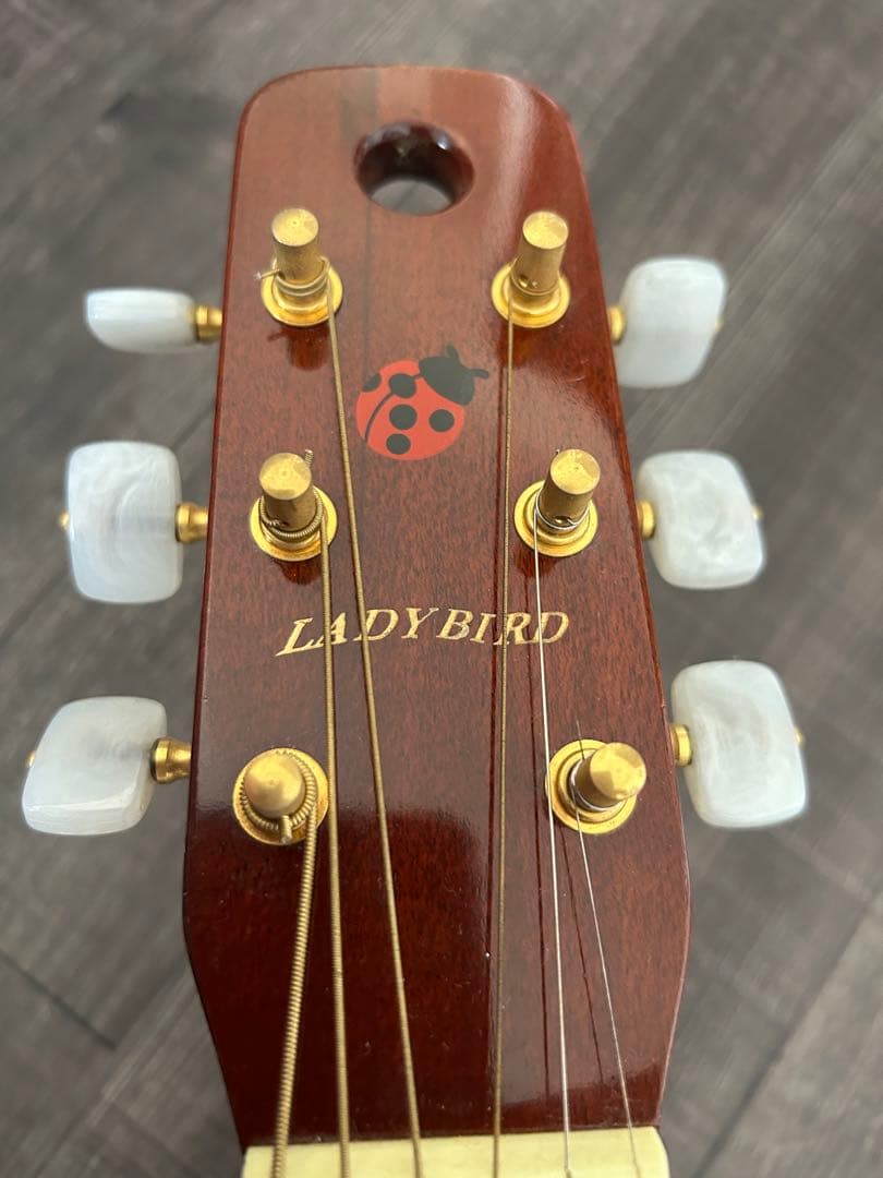 ケーヤイリ レディバード ミニギター K.yairi ENJOY PART2 - メルカリ