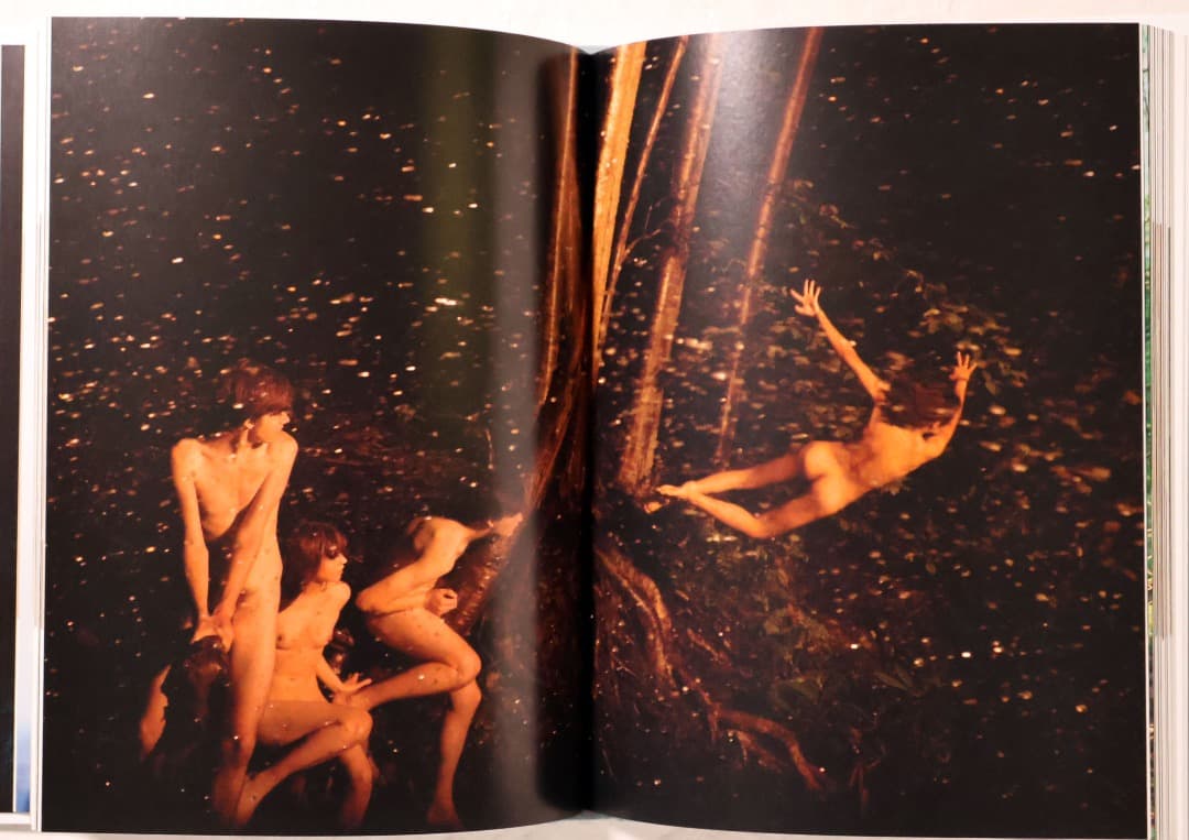 Ryan McGinley You and I 写真集