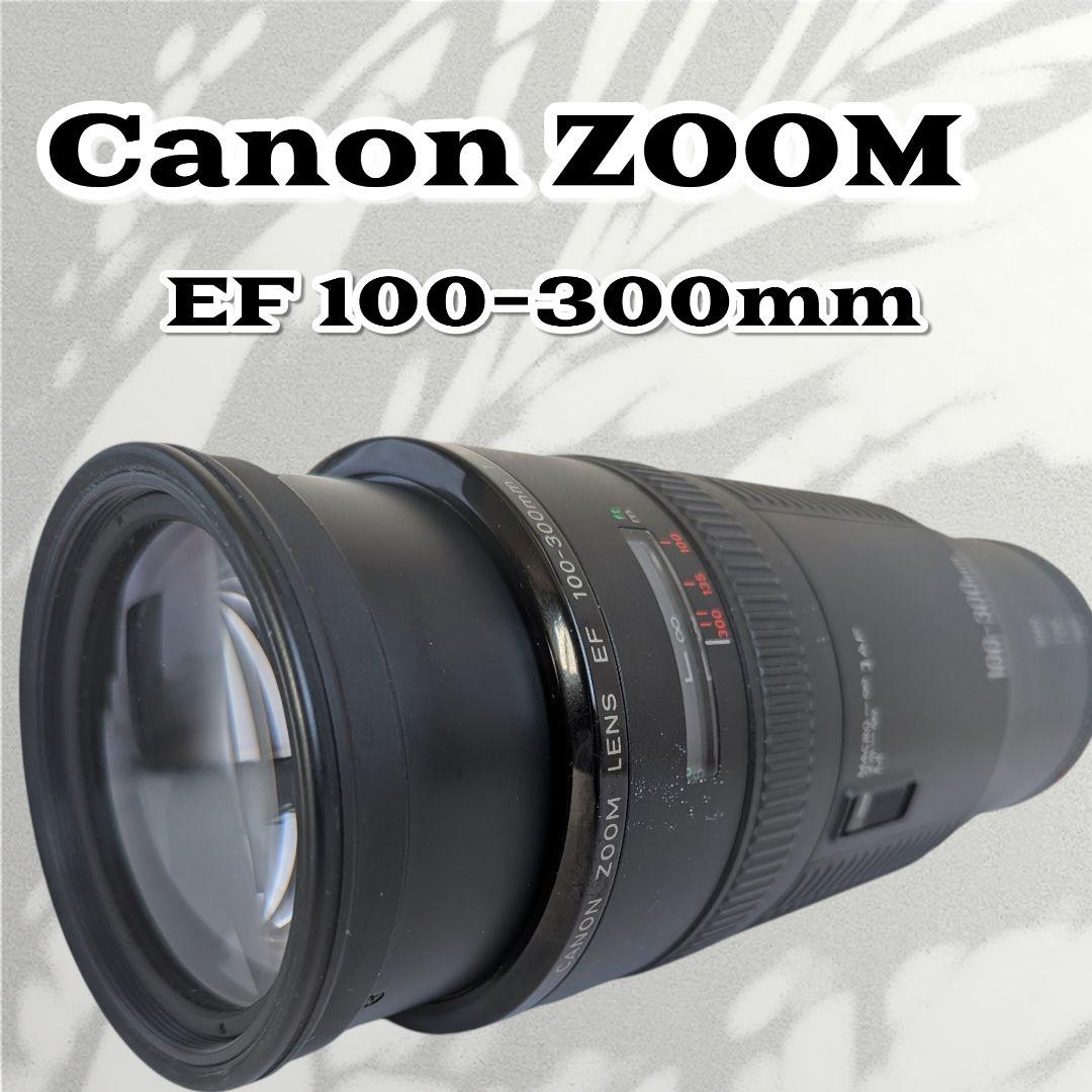 Canon EF 100-300mm F5.6 ❤️超望遠レンズ キヤノン CANON EF 100-300mm F5.6 L TELEPHOTO Auto Focus ZOOM Lens - YouTube