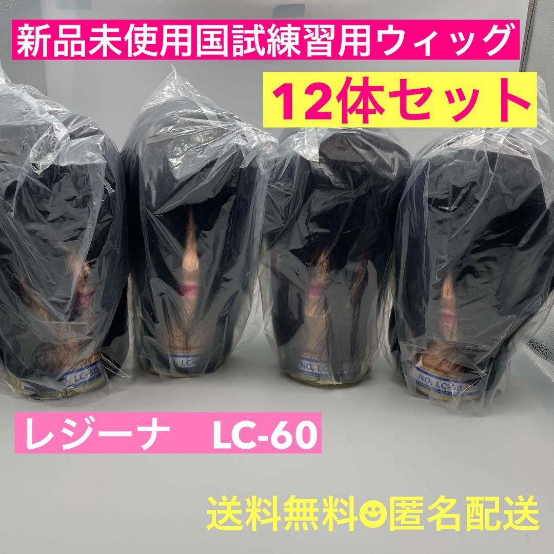カットウィッグ　カットマネキン　国家試験　レジーナ　新品未使用 レジーナ No.800M【理容師実技試験課題/国家試験練習用/人毛100%】の卸