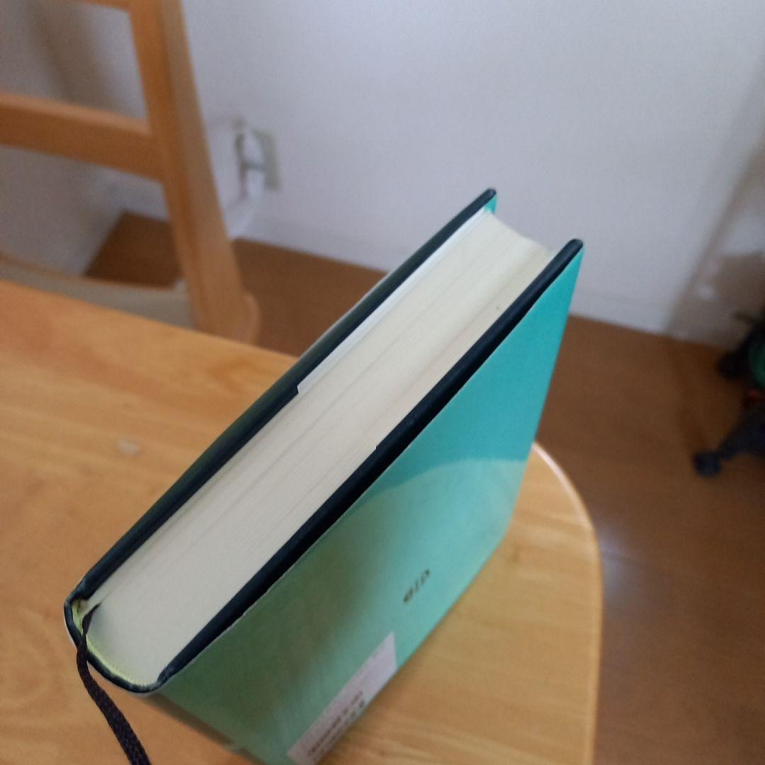 入手困難　勘定科目別にみた異常点監査の手法