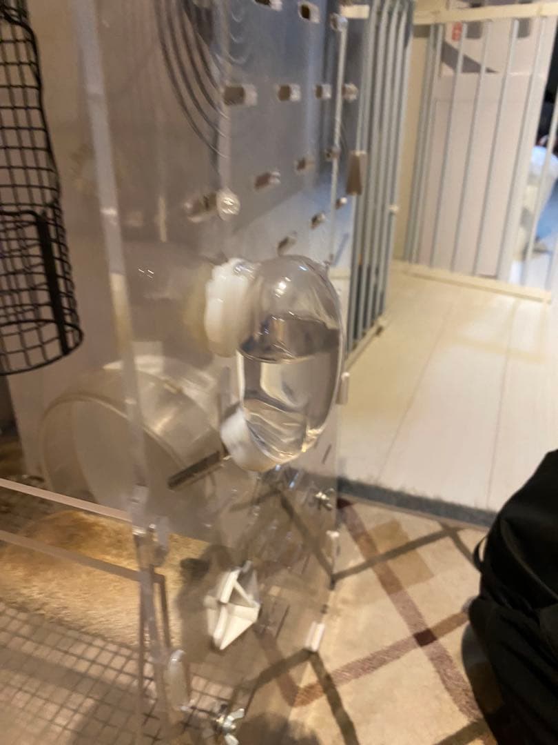 フクロモモンガケージ GEX アクリルルーム390high-Ⅱ おまけ付 小動物