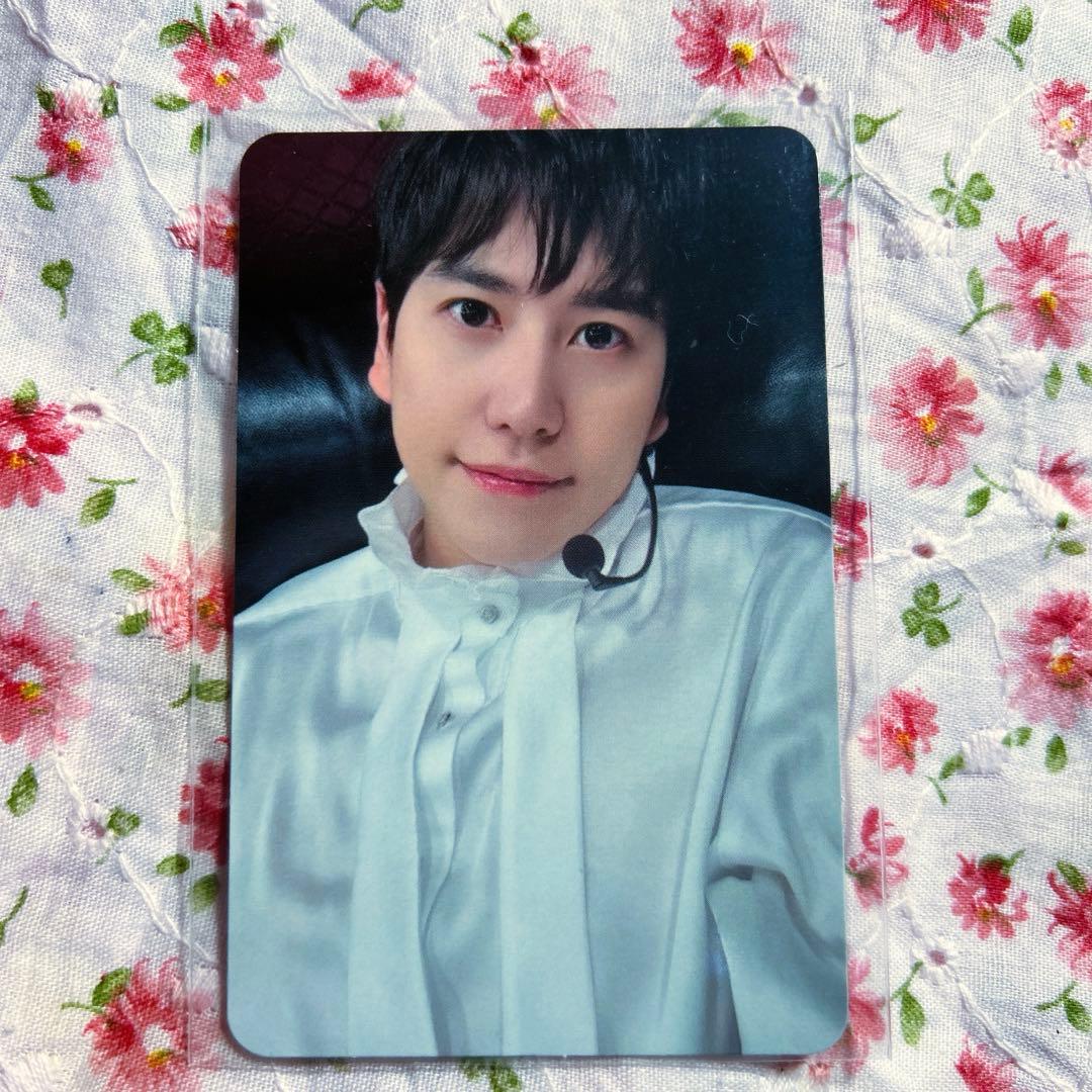 SUPER JUNIOR キュヒョン ELF-JAPAN 抽選 トレカ Super Junior E.L.F. Japan トレカ キュヒョン - メルカリ