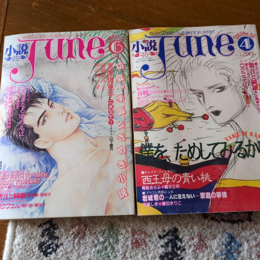 小説June 1984年No.24〜37