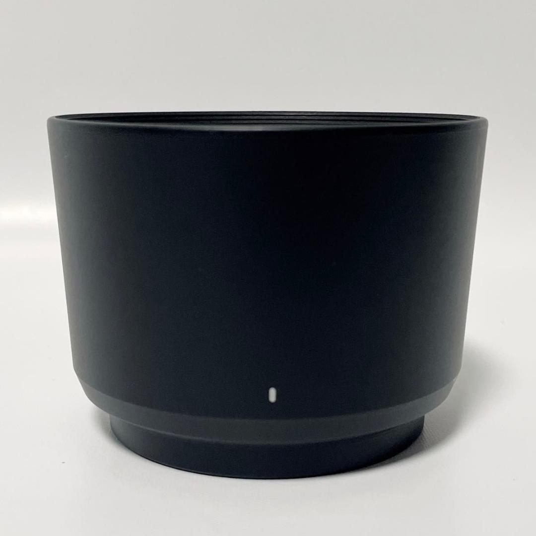 Panasonic LUMIX 45-200mm F4.0-5.6 II レンズ