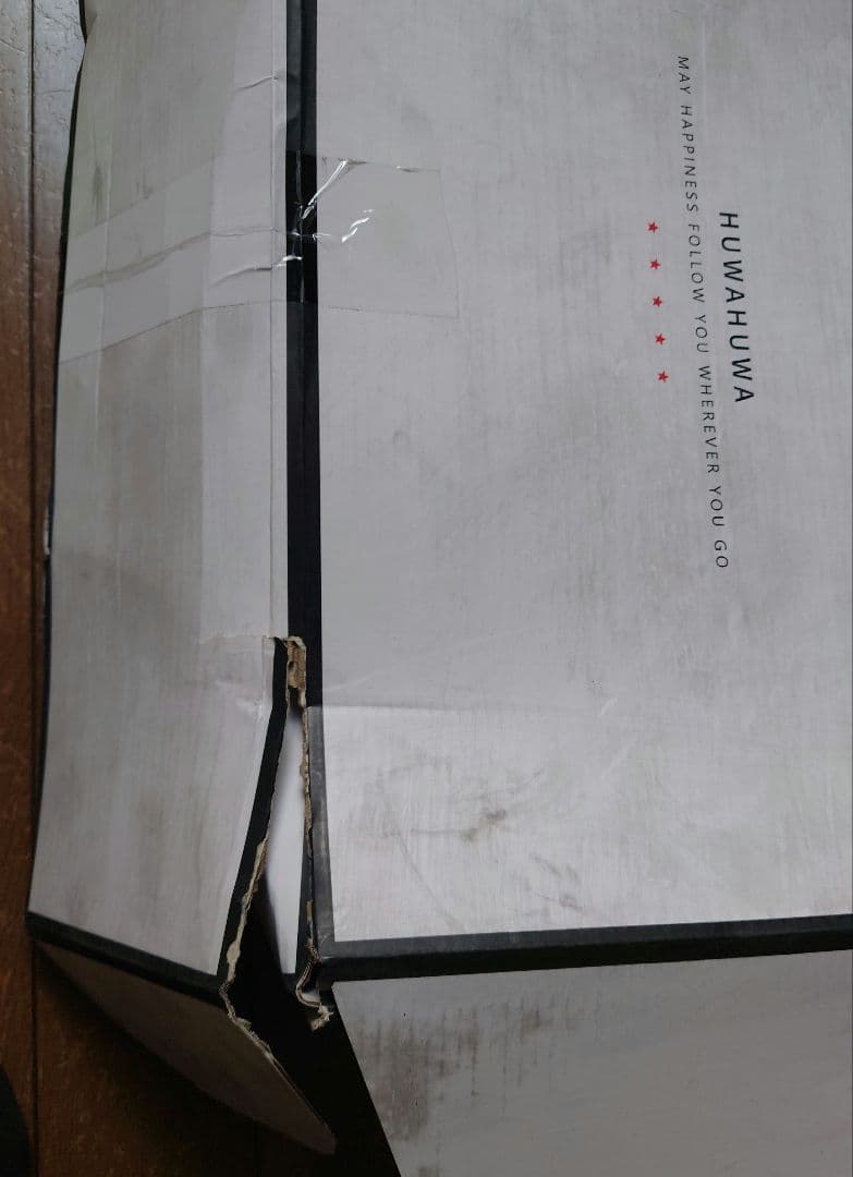 HUWAHUWA社 シリコンバスト　未使用