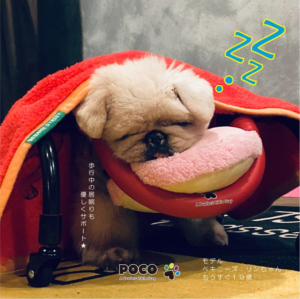 愛犬4輪歩行器【サイズ調整可】×【彩色レッド】介護・リハビリetc