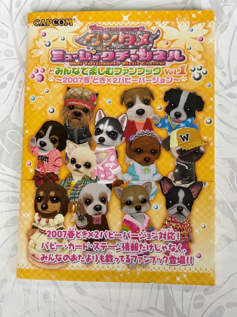 レア ワンタメミュージックチャンネル ファンブック まるわかりガイド