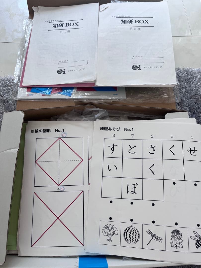 知能教育教材「知研プログラム」10期・11期 (知研ボックス) - メルカリ