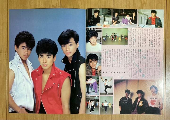 ☆希少品☆ 少年隊 SPRING CONCERT パンフレット 少年隊 SPRING