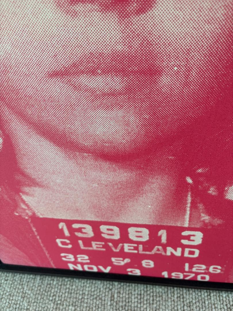 ラッセル ヤング「ジェーン フォンダ」キャンバス絵画（作家直筆サイン