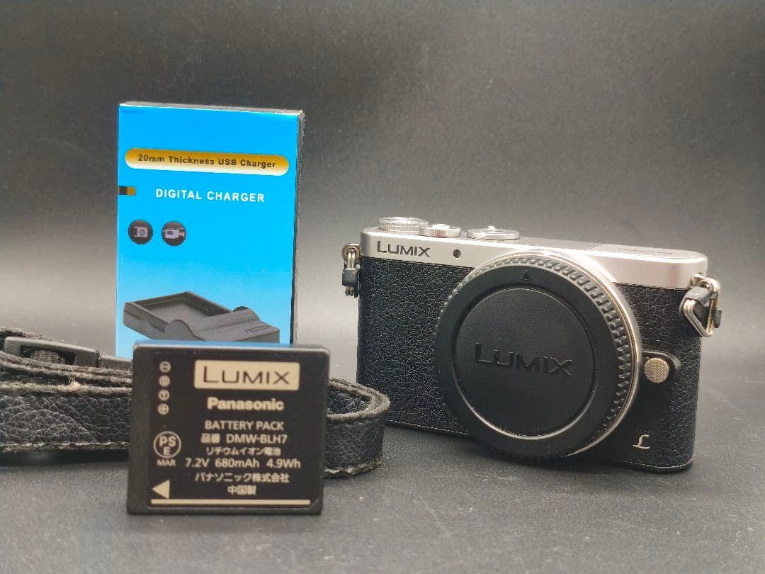 LUMIX DCM-GM1 シルバー Panasonic Panasonic Lumix GM1 Review (2024): A Tiny Powerhouse — Michael Fil
