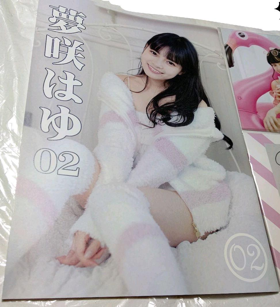 本日限定特別最終大特価♡夢咲はゆ(新條由芽)サイン入 写真集&ポストカードセット