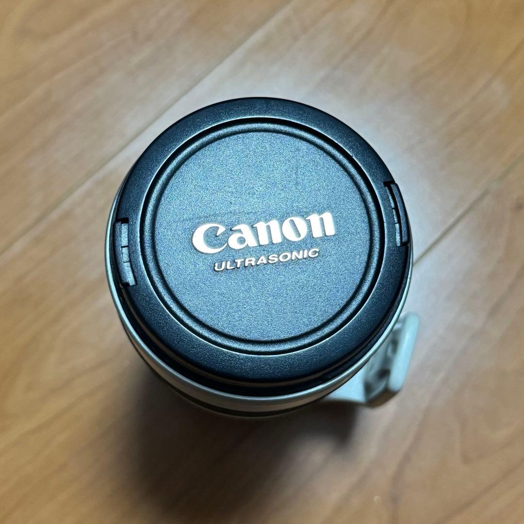 望遠 Canon EF 100-400mm F/4.5-5.6 L IS USM