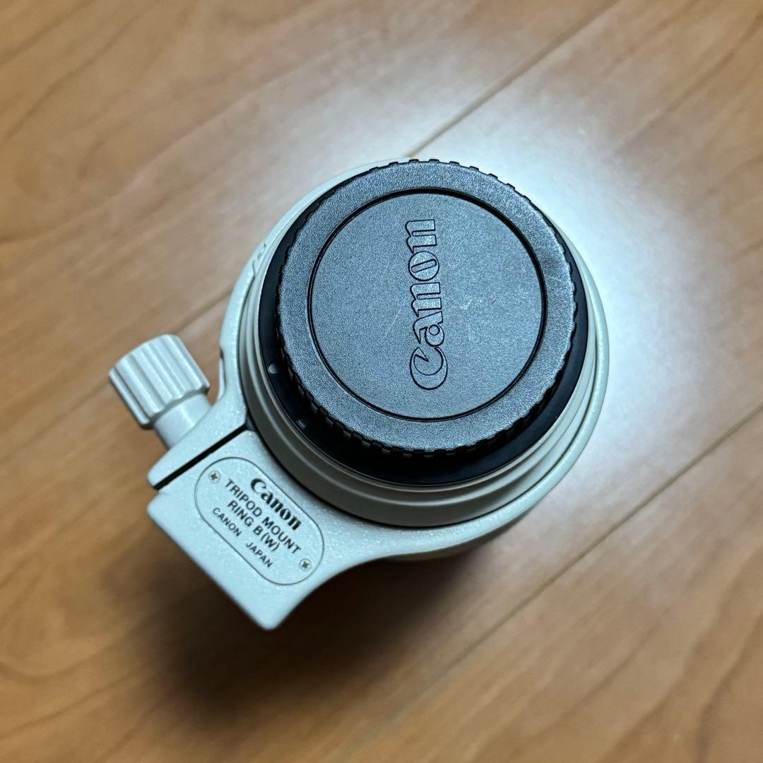 望遠 Canon EF 100-400mm F/4.5-5.6 L IS USM