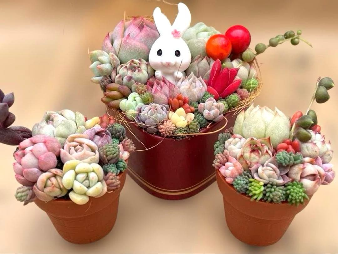 ❤️そのまま飾れる寄せ植え❤️うさちゃん3点セット - メルカリ