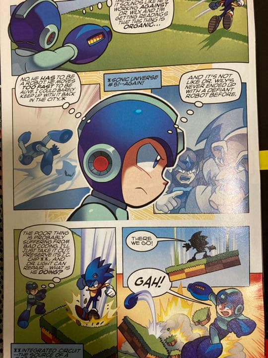 ソニック・ザ ・ヘッジホッグ #248 アメコミ ソニック ロックマン