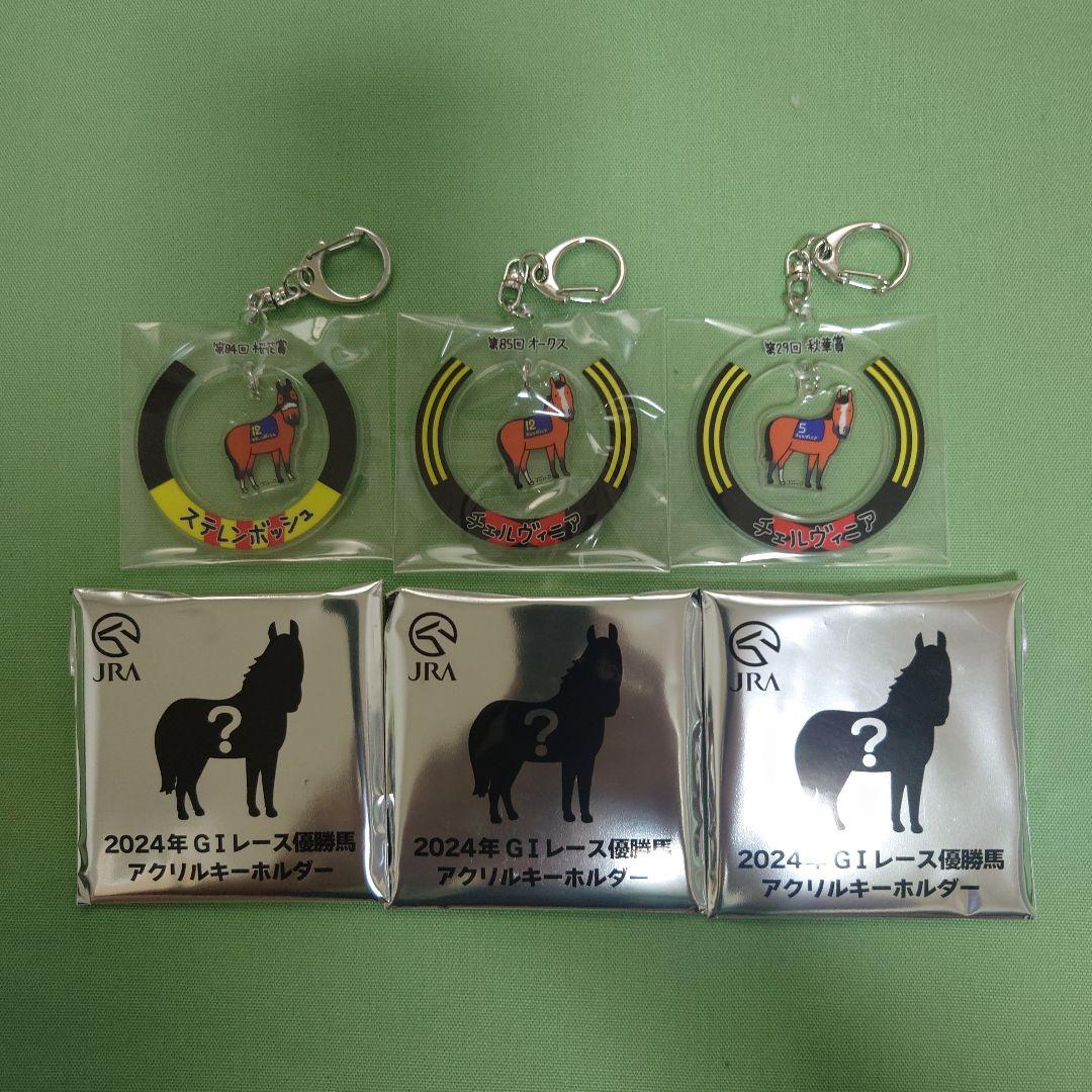 JRA Welcomeチャンス E賞 24年G1レース優勝馬アクリルキーホルダー