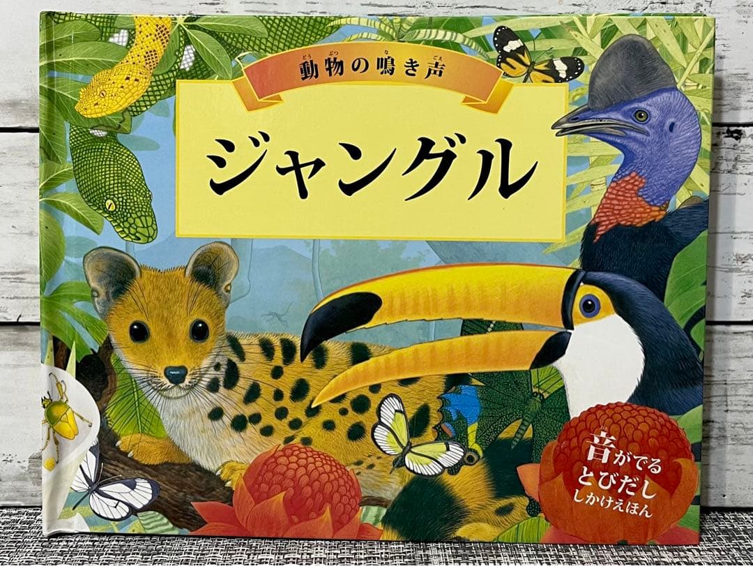 ジャングル : 動物の鳴き声 : 音がでるとびだししかけえほん - メルカリ
