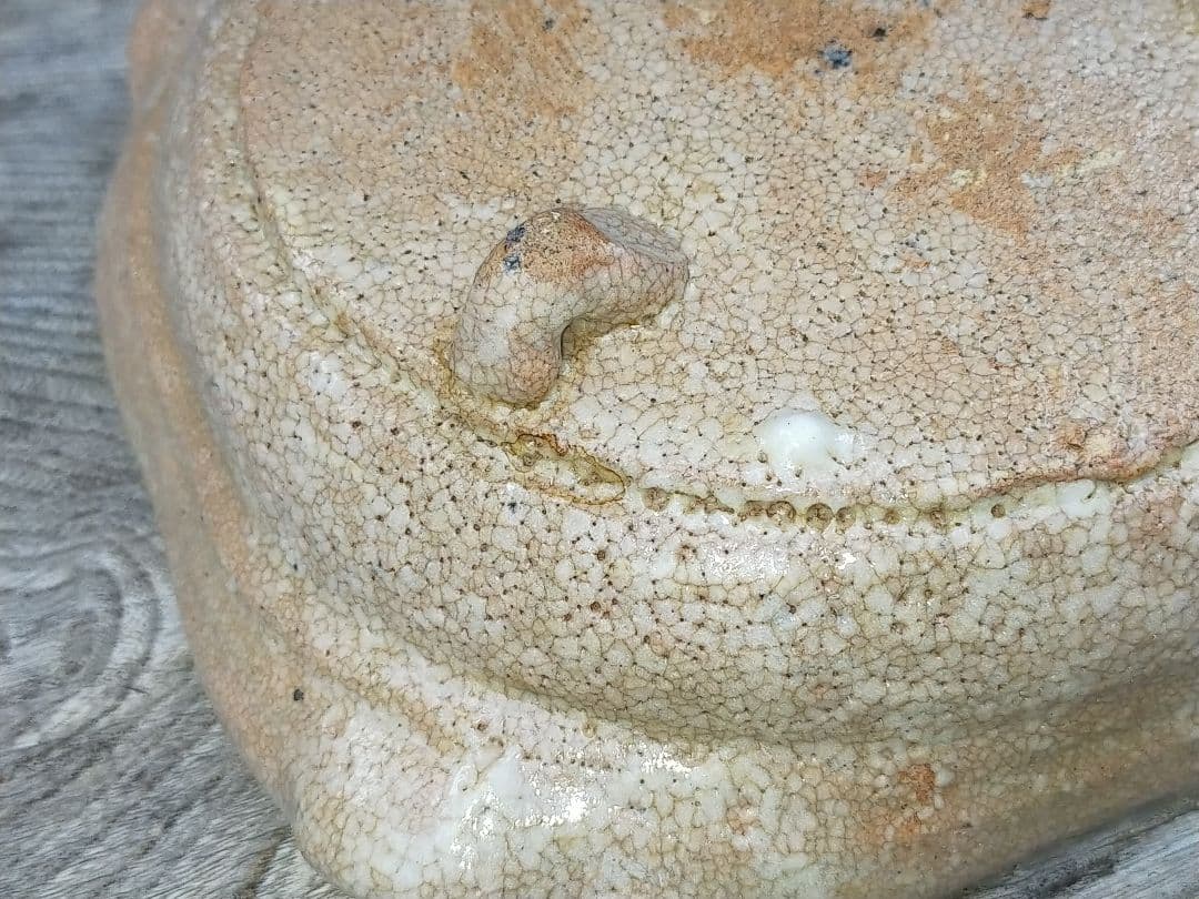 ♥美濃焼 絵志野 鉢 桐箱付き 志野 骨董品 - メルカリ